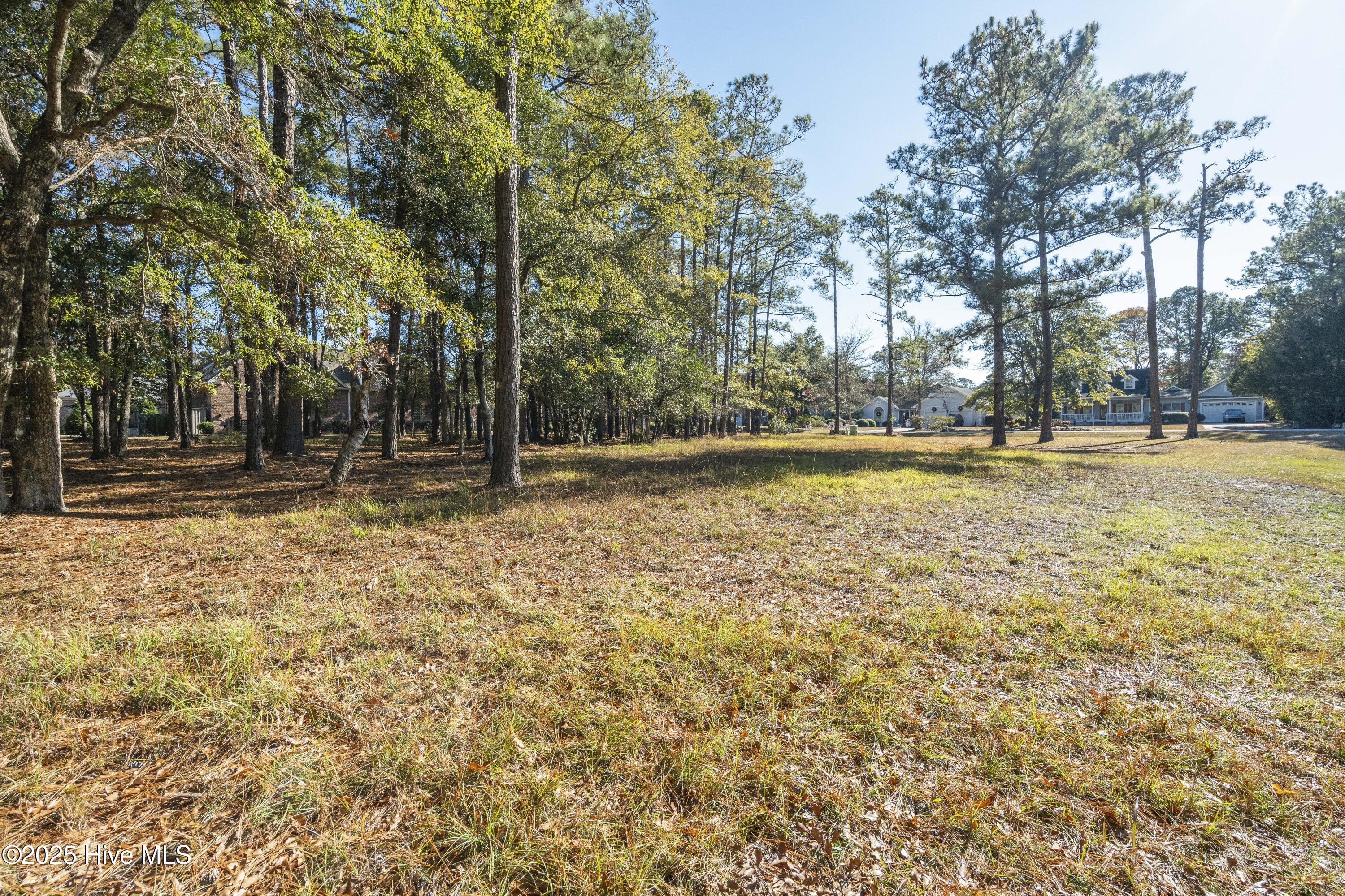 342 Genoe's Point Road Southwest Supply, NC 28462 - Photo 15 of 38 DSC01548