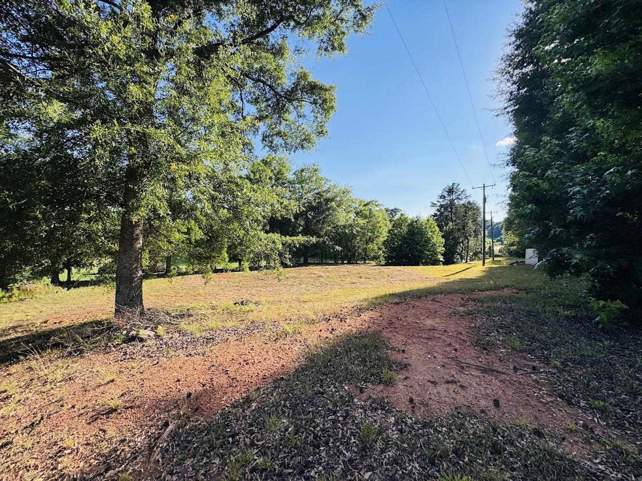 1770 Fish Camp Road Chesnee, SC 29323 - Photo 5 of 7
