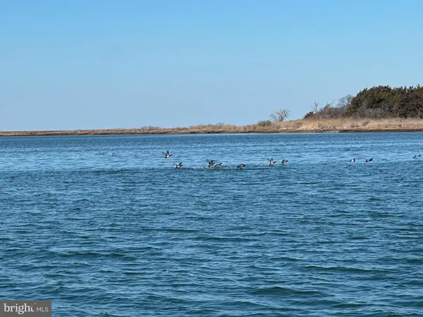 an aerial view of a residential houses with outdoor space