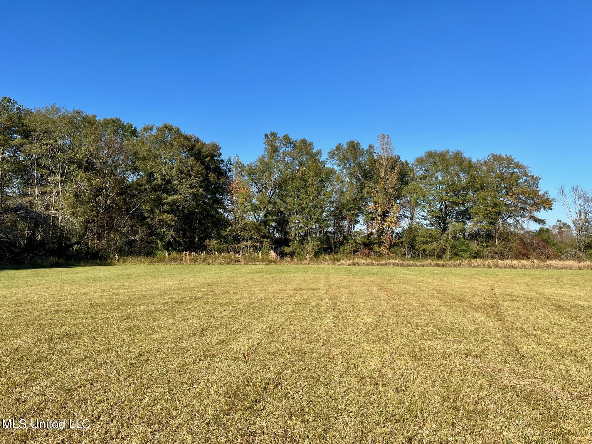 450 Moss Road Canton, MS 39046 - Photo 1 of 7 front