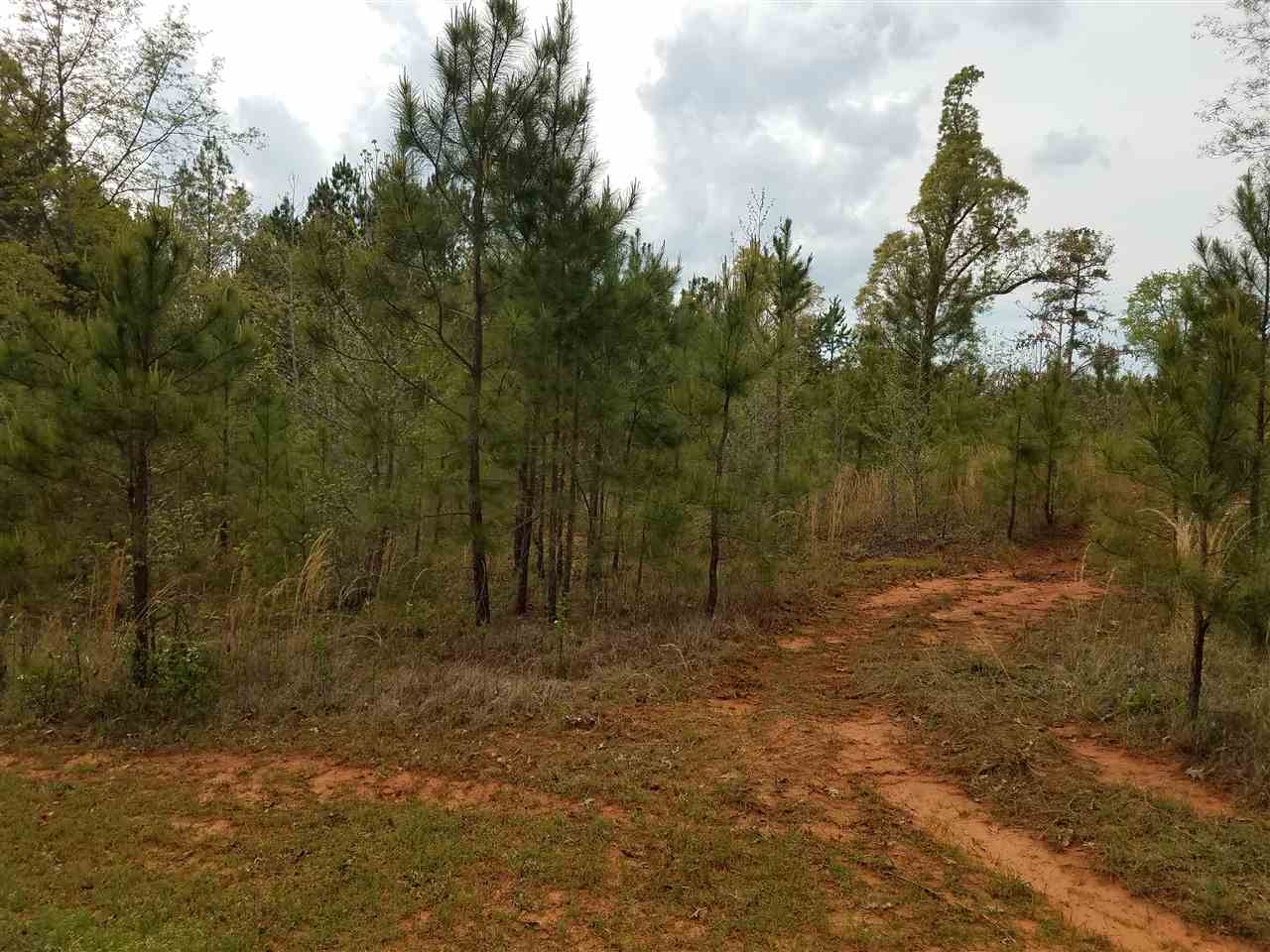 Lot 3 Stone Ridge Drive Union, SC 29379 - Photo 1 of 9