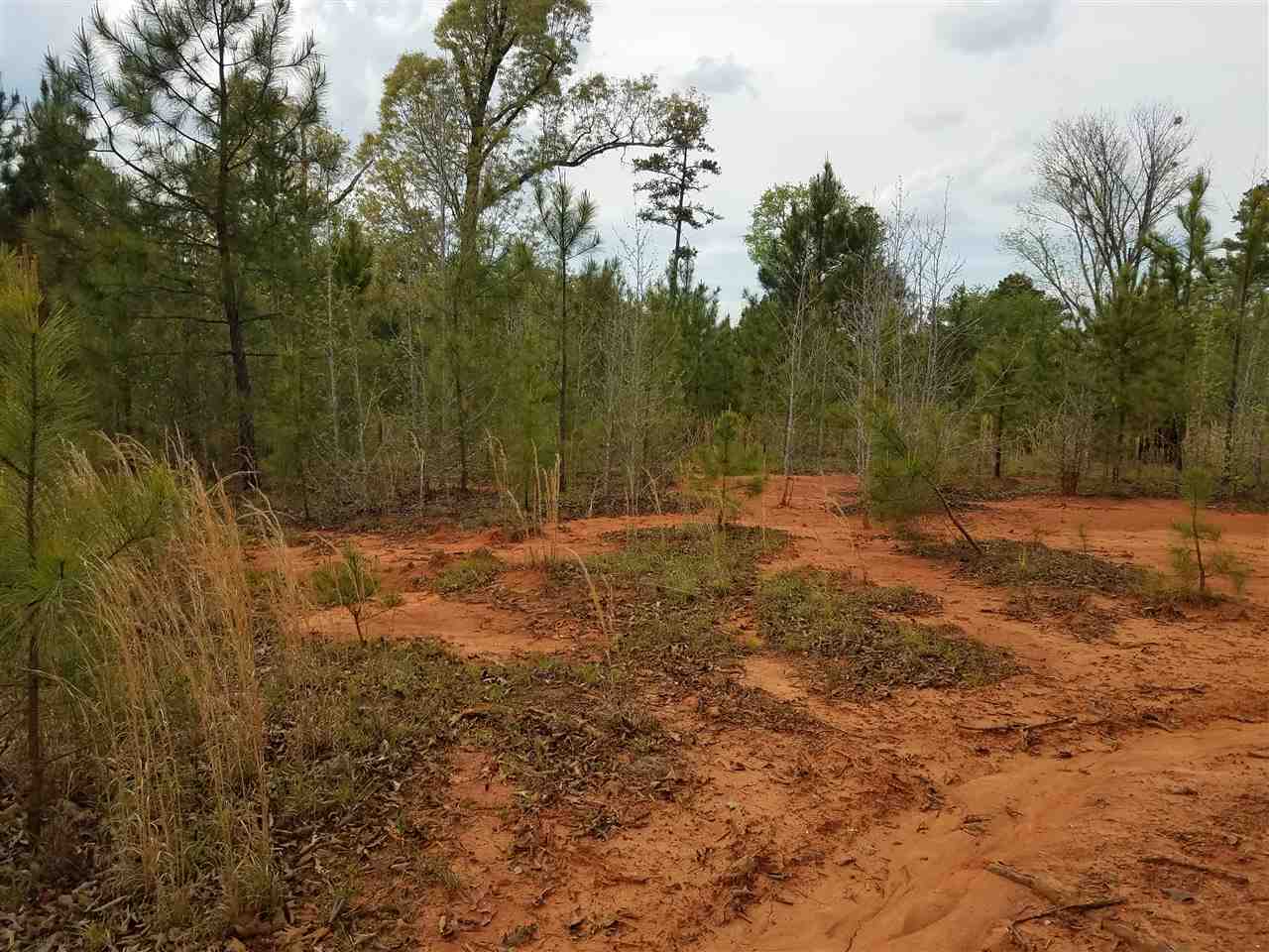 Lot 3 Stone Ridge Drive Union, SC 29379 - Photo 2 of 9