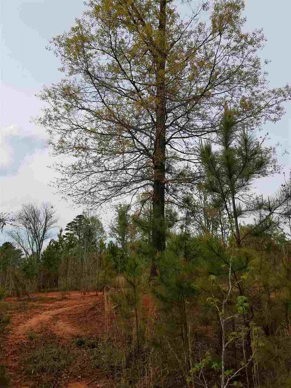 Lot 3 Stone Ridge Drive Union, SC 29379 - Photo 3 of 9
