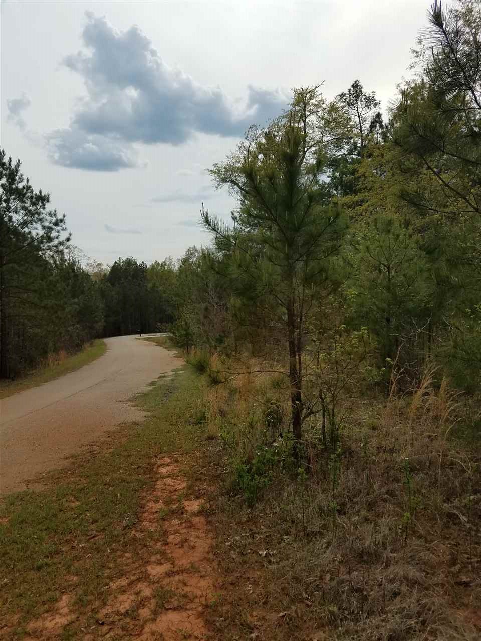 Lot 3 Stone Ridge Drive Union, SC 29379 - Photo 4 of 9