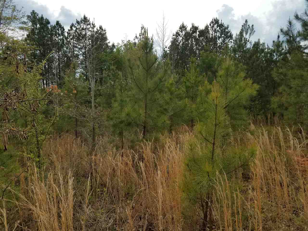 Lot 3 Stone Ridge Drive Union, SC 29379 - Photo 5 of 9