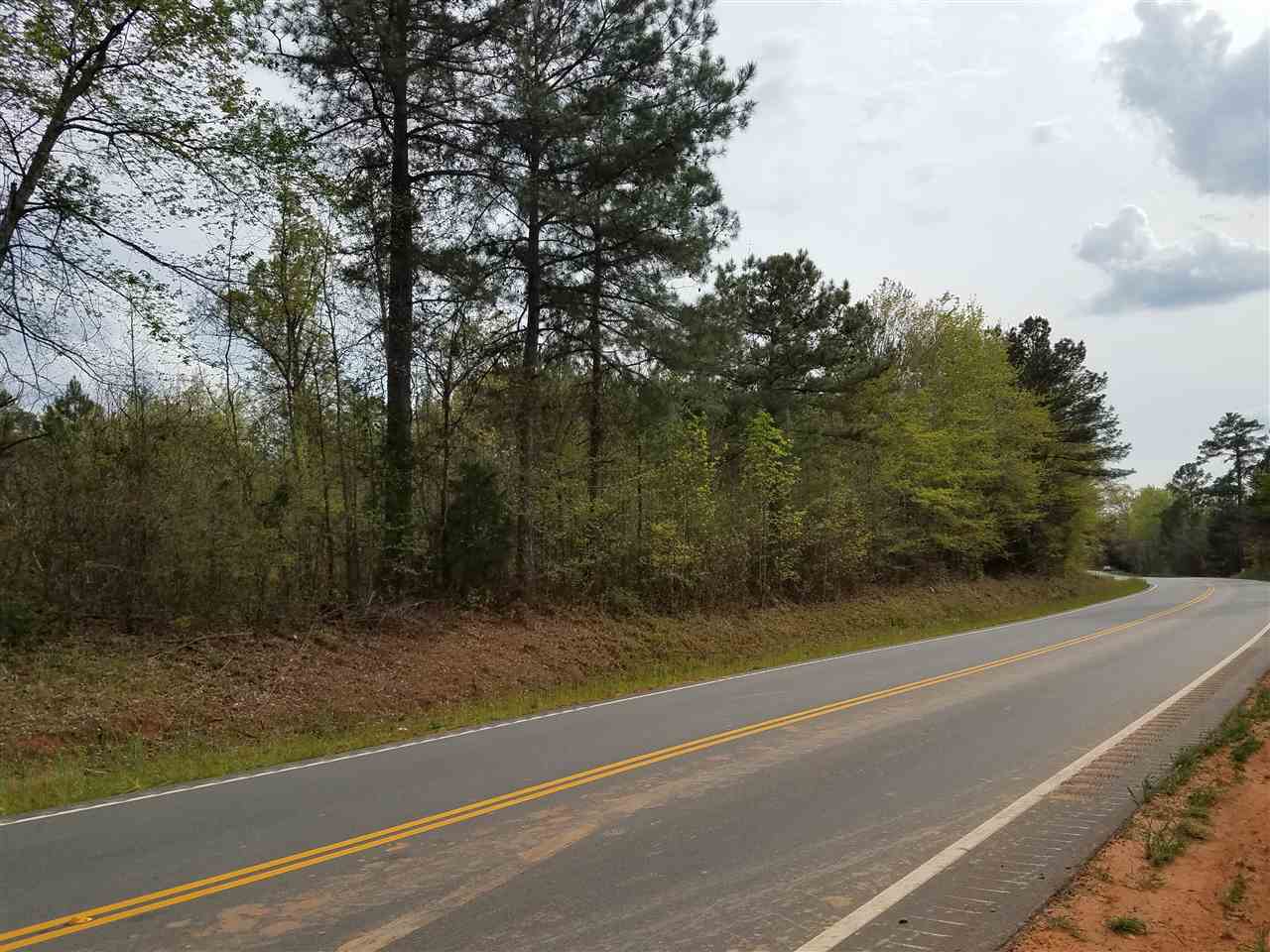 Lot 3 Stone Ridge Drive Union, SC 29379 - Photo 8 of 9
