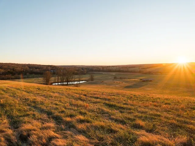 $11,995,000 | 6421 Pinewood Road, Nunnelly, TN 37137