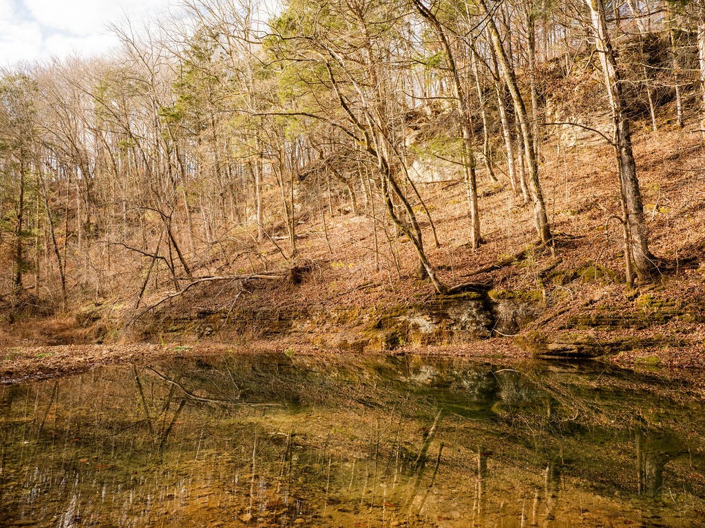 6415 Pinewood Road Nunnelly, TN 37137 - Photo 15 of 83