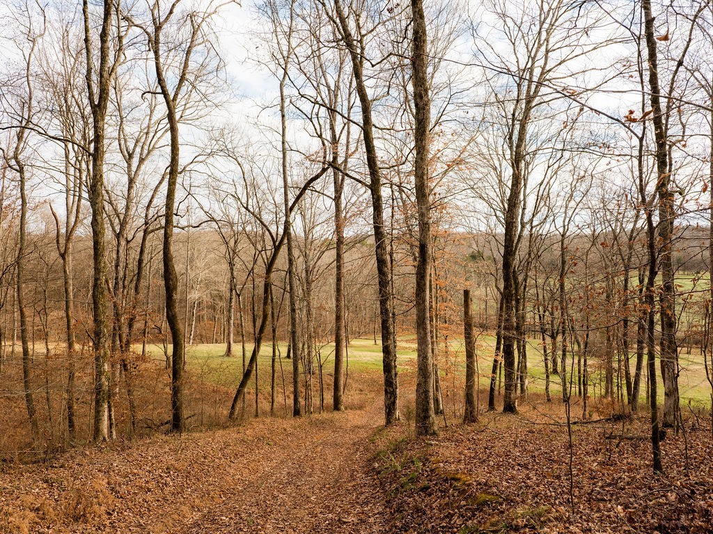 6415 Pinewood Road Nunnelly, TN 37137 - Photo 47 of 83 a view of outdoor space with deck