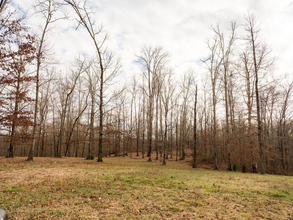 6415 Pinewood Road Nunnelly, TN 37137 - Photo 52 of 83 a view of dirt yard with a large tree