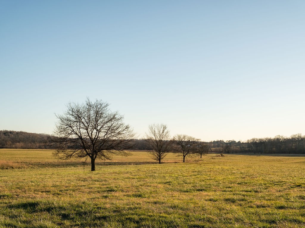 6415 Pinewood Road Nunnelly, TN 37137 - Photo 53 of 83 a view of ocean view