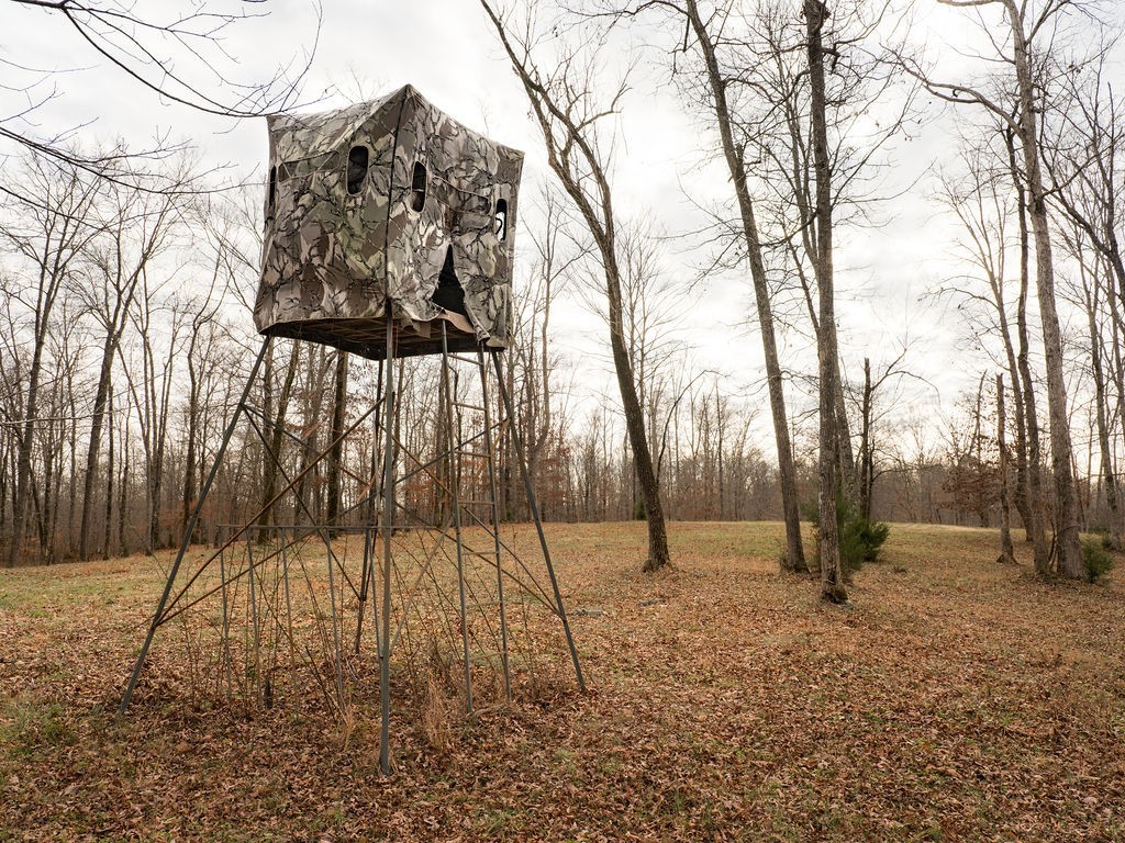 6415 Pinewood Road Nunnelly, TN 37137 - Photo 61 of 83 a view of outdoor space with lots of trees