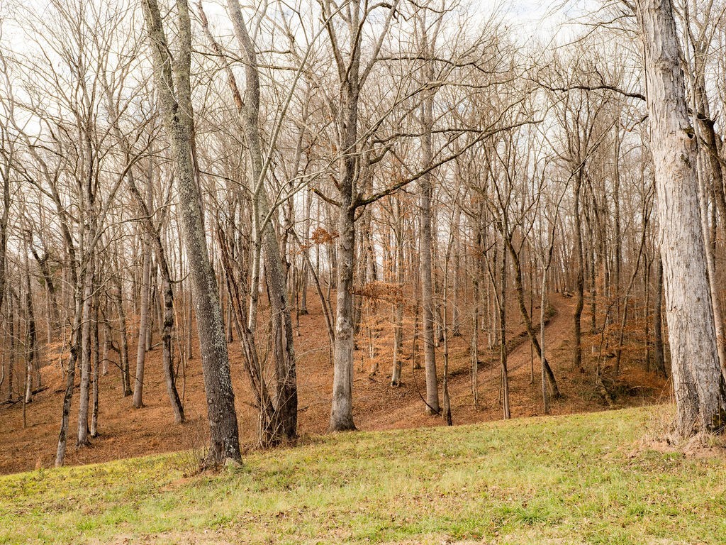 6415 Pinewood Road Nunnelly, TN 37137 - Photo 63 of 83 a view of a yard with large trees