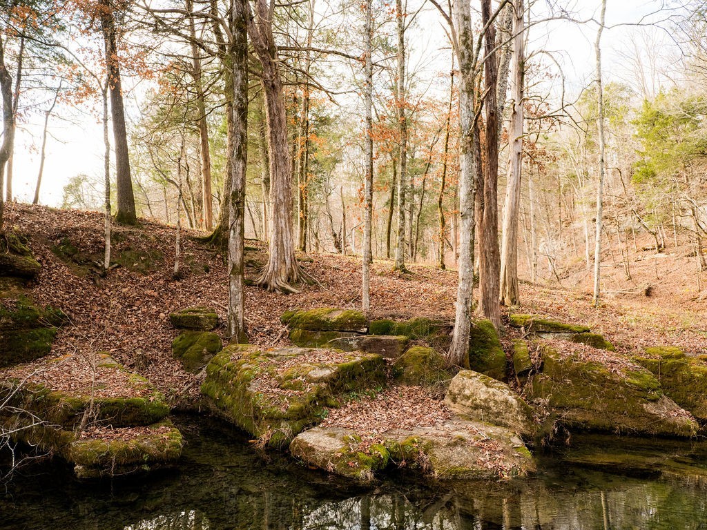 6415 Pinewood Road Nunnelly, TN 37137 - Photo 64 of 83