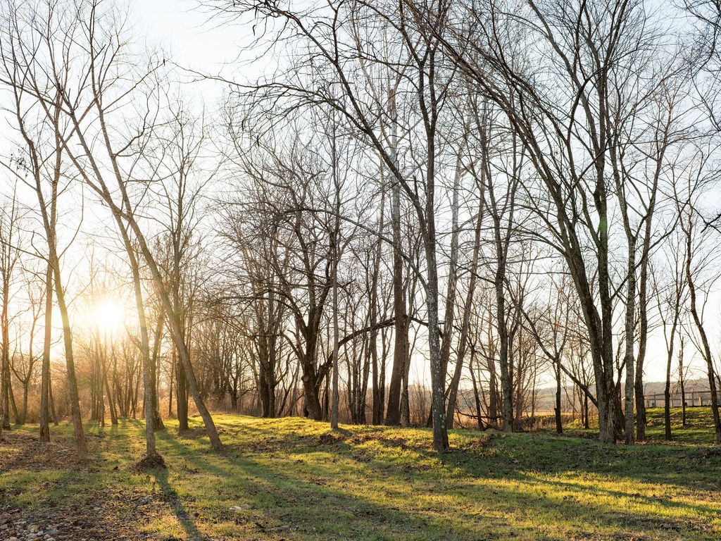 6415 Pinewood Road Nunnelly, TN 37137 - Photo 70 of 83