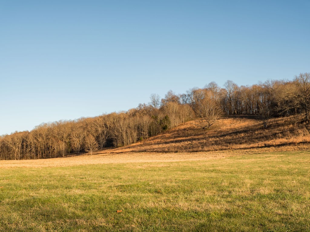 6415 Pinewood Road Nunnelly, TN 37137 - Photo 73 of 83