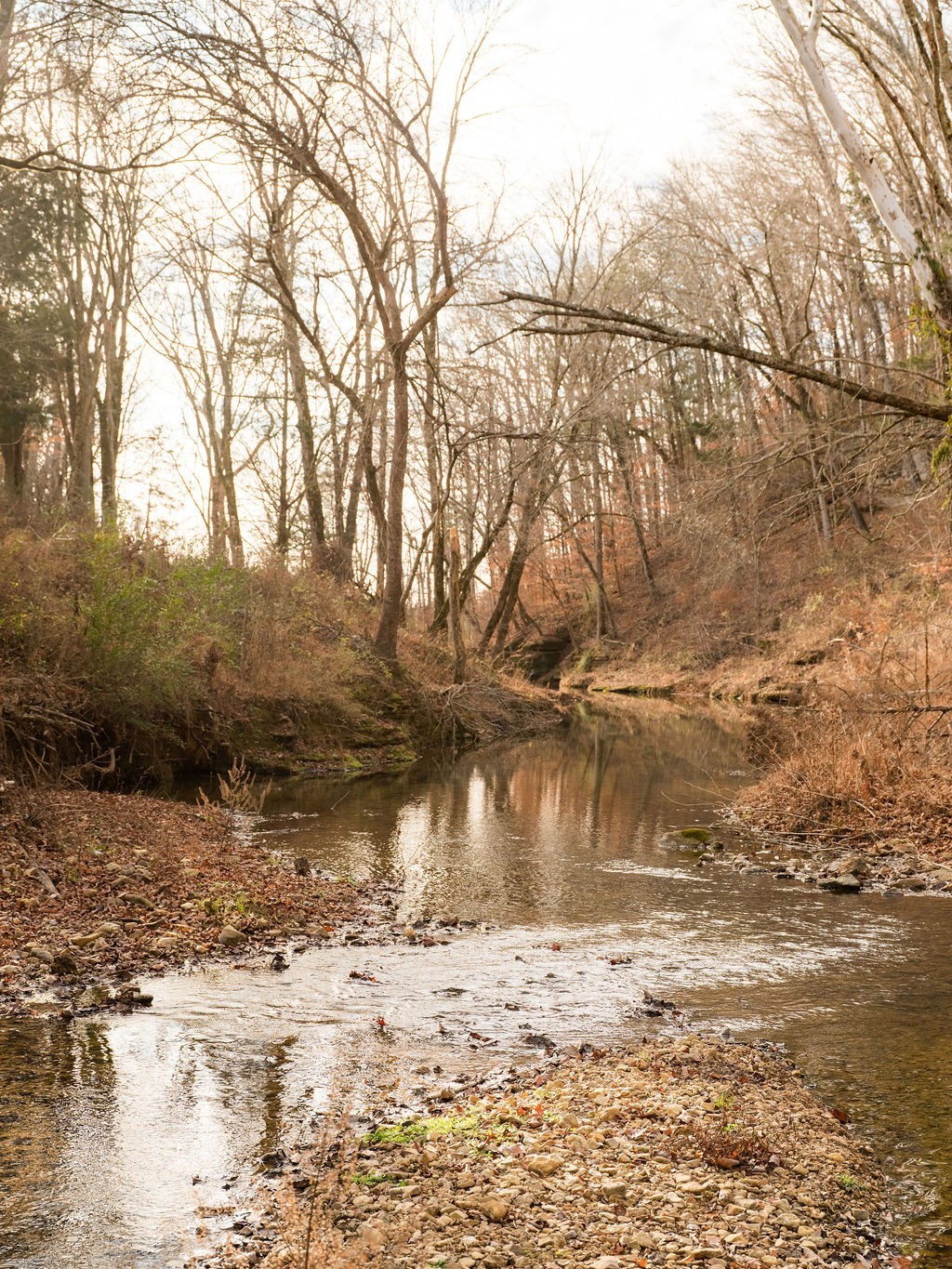 6415 Pinewood Road Nunnelly, TN 37137 - Photo 78 of 83