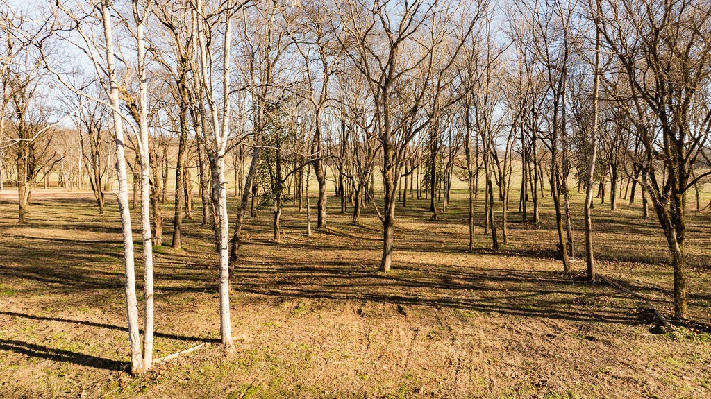 6415 Pinewood Road Nunnelly, TN 37137 - Photo 80 of 83 a view of a backyard of the house