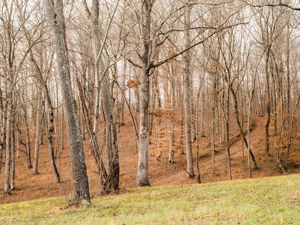 6415 Pinewood Road Nunnelly, TN 37137 - Photo 83 of 83 a view of covered with snow