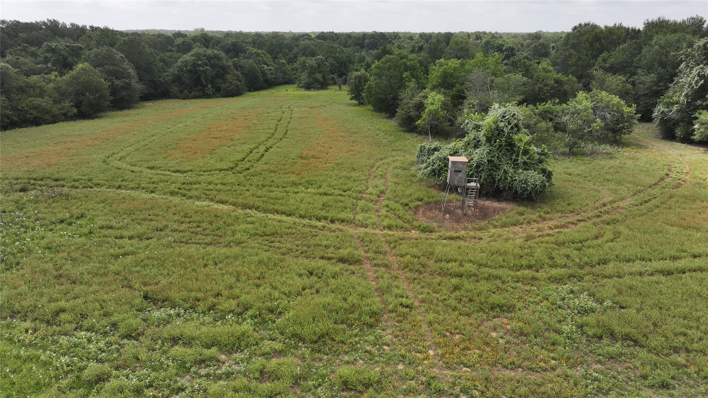 Tbd Tbd Rose Hill Road Calvert, TX 77837 - Photo 4 of 23