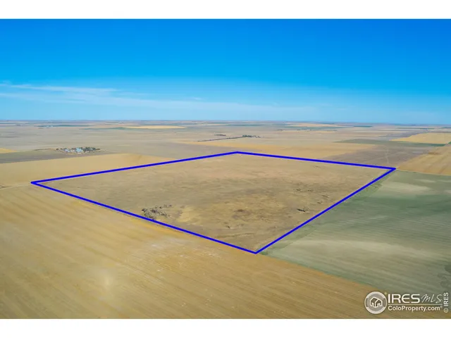 a view of an ocean beach