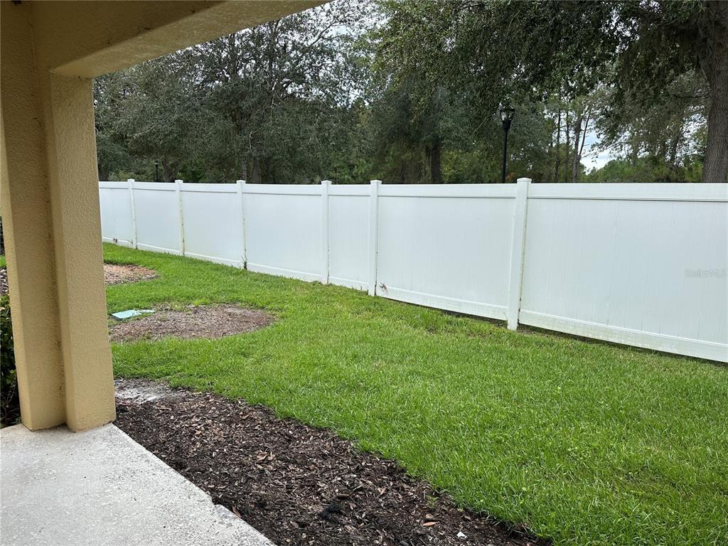 20474 Needletree Drive, Unit 20474 Tampa, FL 33647 - Photo 20 of 25 a view of a backyard