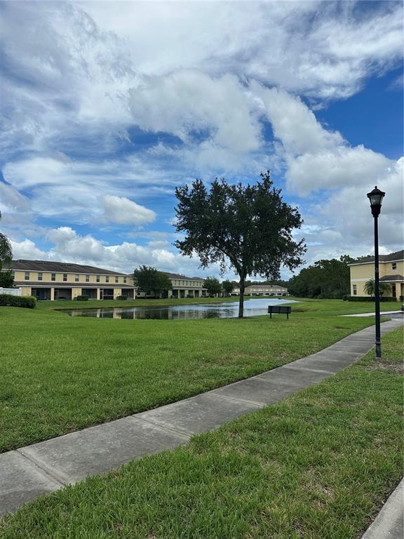 20474 Needletree Drive, Unit 20474 Tampa, FL 33647 - Photo 24 of 25 a view of a field of grass and trees