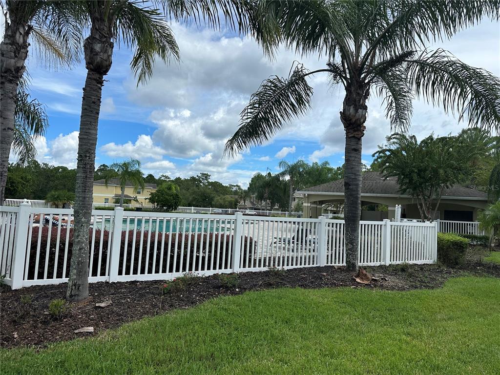 20474 Needletree Drive, Unit 20474 Tampa, FL 33647 - Photo 25 of 25