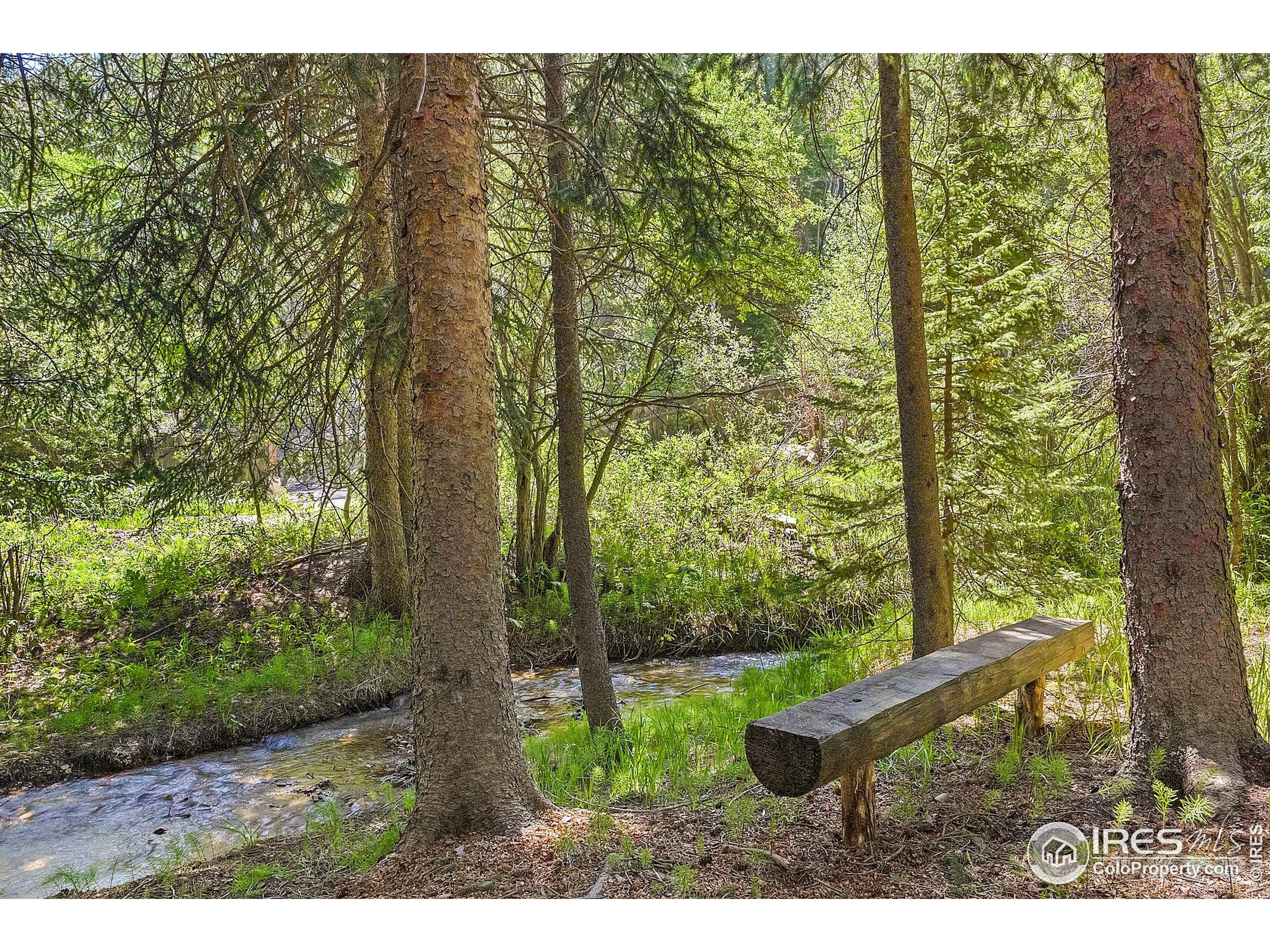 3727 Gamble Gulch Road Black Hawk, CO 80422 - Photo 3 of 30 a view of outdoor space and yard