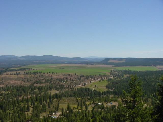0 Bald Ridge Road Davenport, WA 99122 - Photo 3 of 8