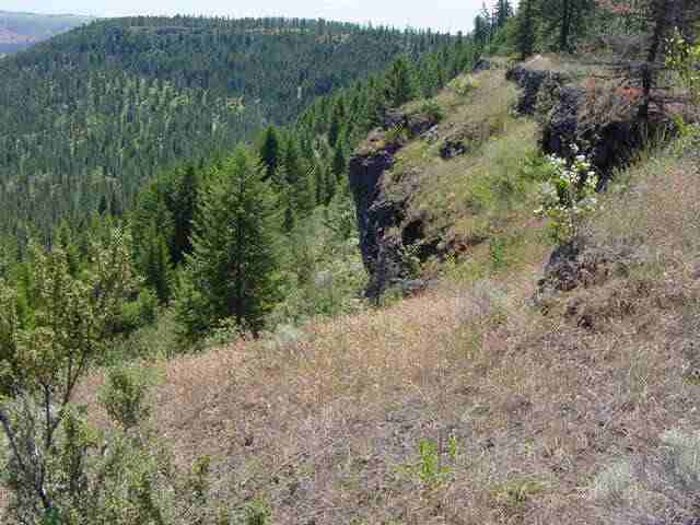 0 Bald Ridge Road Davenport, WA 99122 - Photo 5 of 8