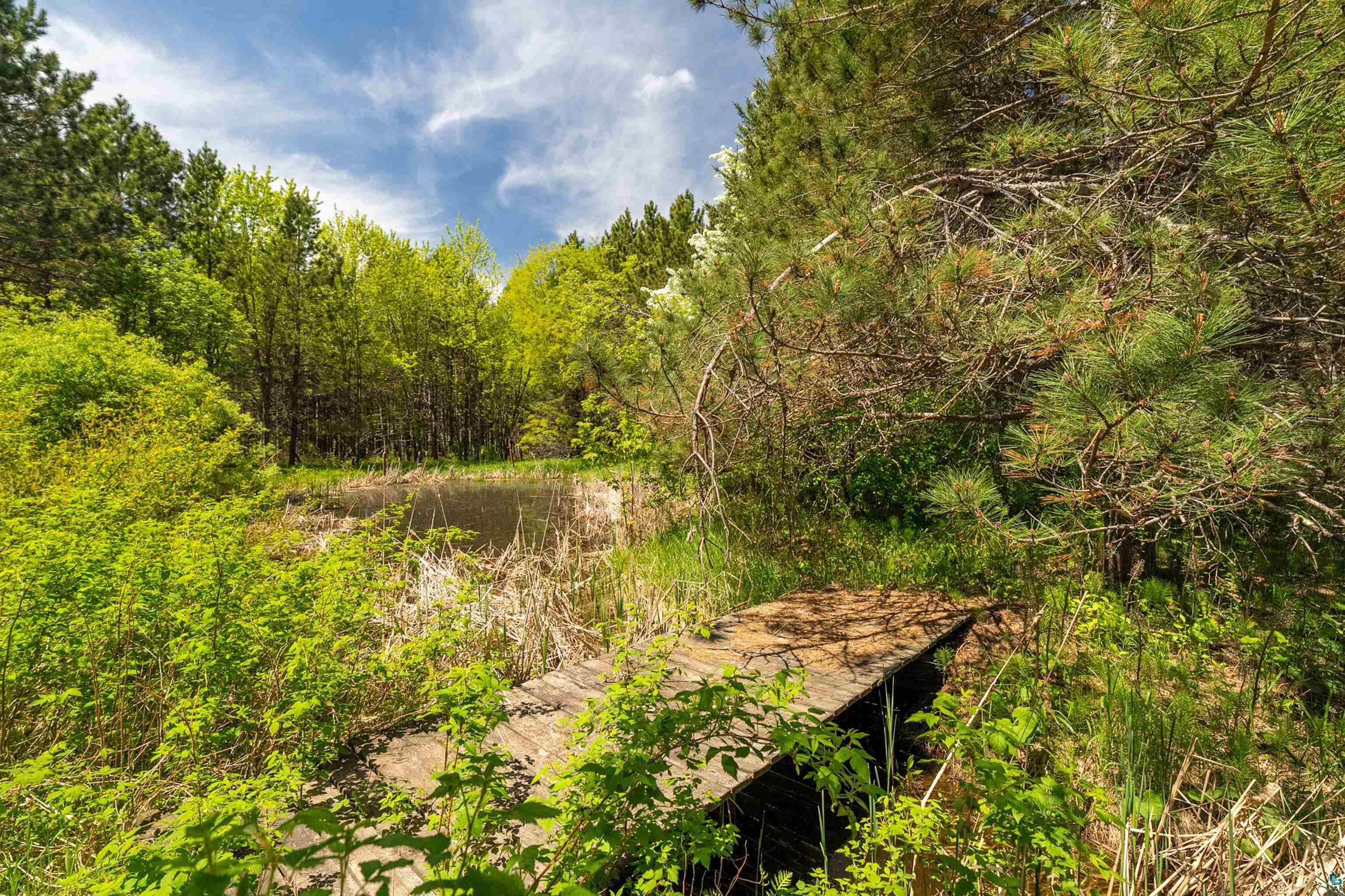 75 East Stark Road Esko, MN 55733 - Photo 74 of 87 Natural landscape featuring a wooden boardwalk, dense mature trees, lush green foliage, and a pond