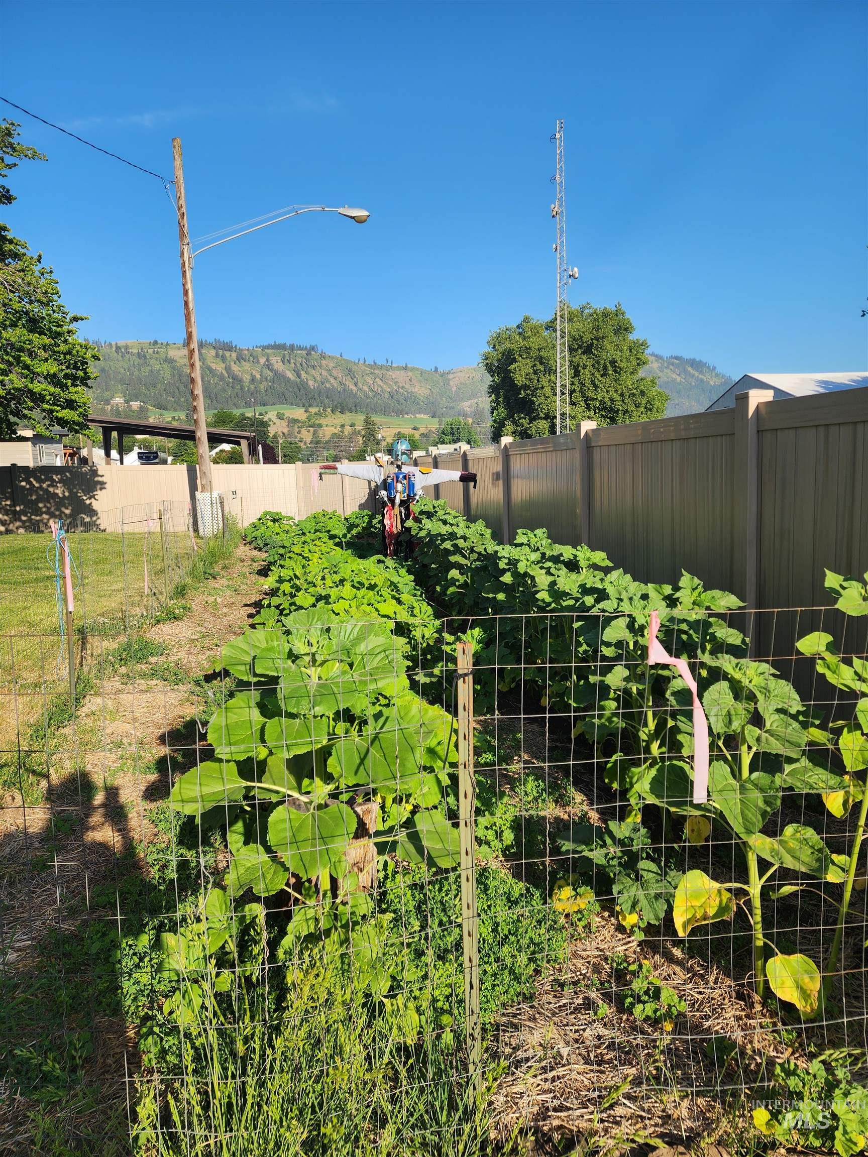 503 Oak Street Kamiah, ID 83536 - Photo 32 of 36 Fenced backyard featuring a vegetable garden and a mountain view