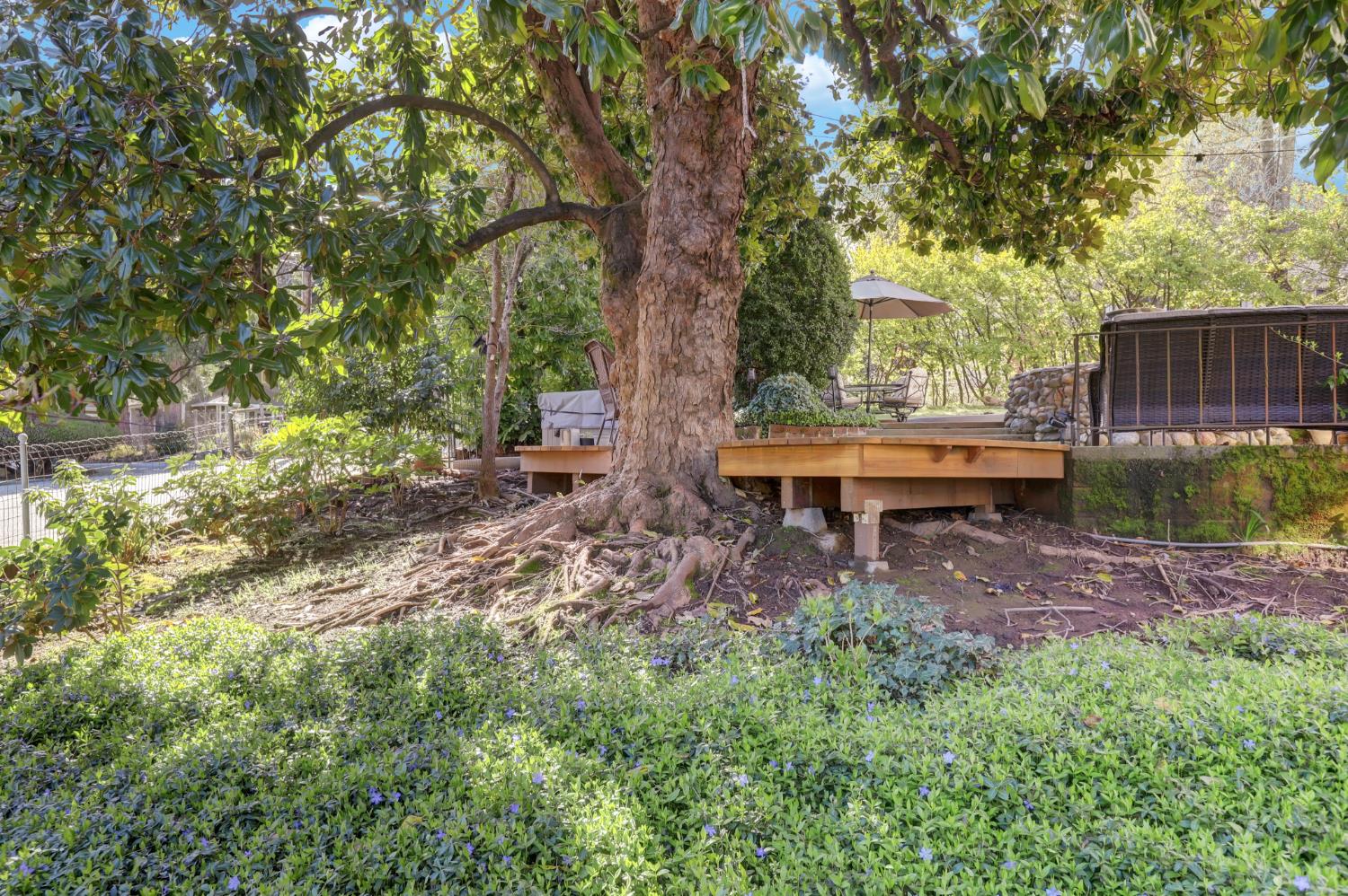 203 Prospect Street Nevada City, CA 95959 - Photo 78 of 95