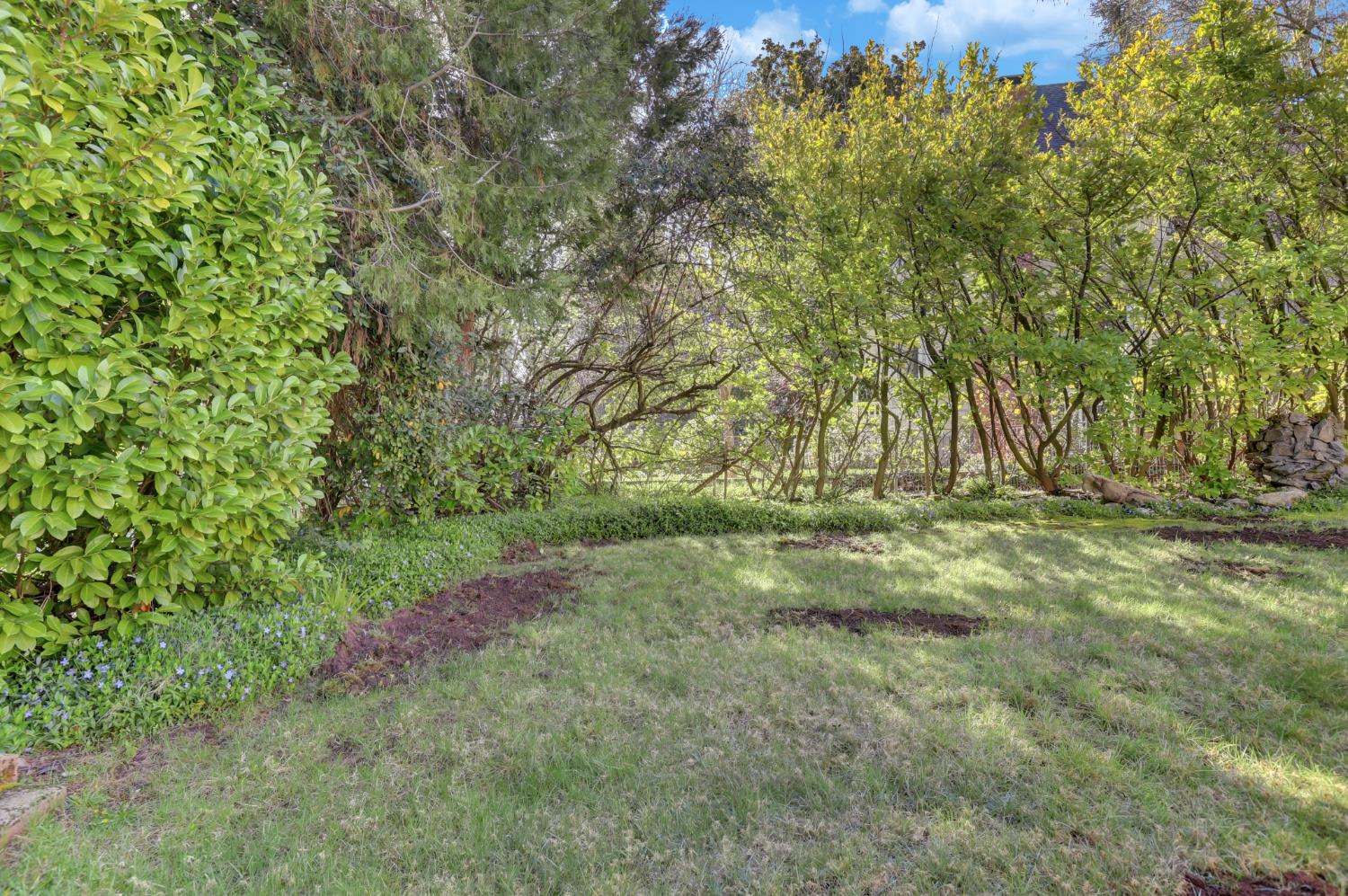 203 Prospect Street Nevada City, CA 95959 - Photo 85 of 95