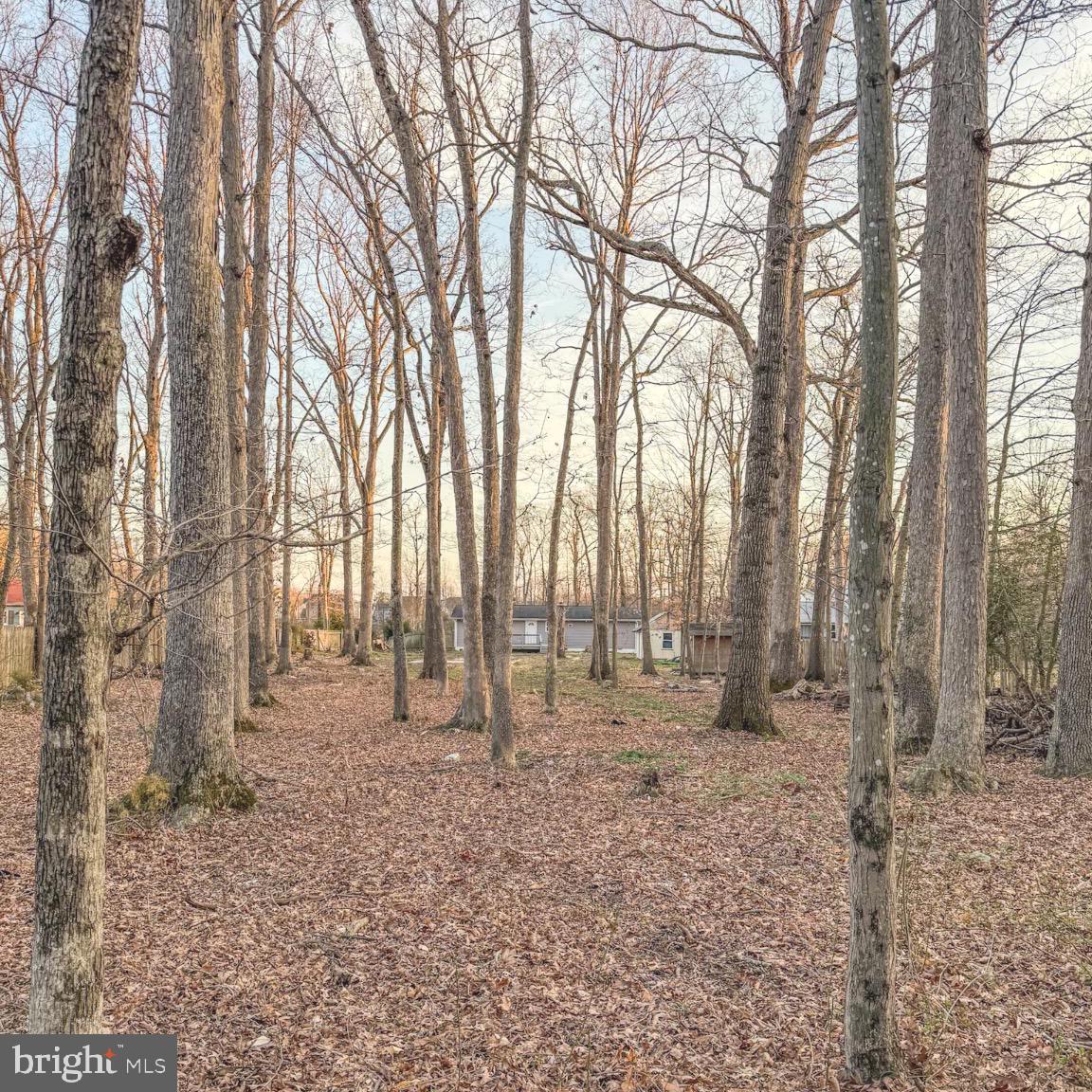 205 Biddle Road Accokeek, MD 20607 - Photo 11 of 31 a backyard of a house with lots of green space
