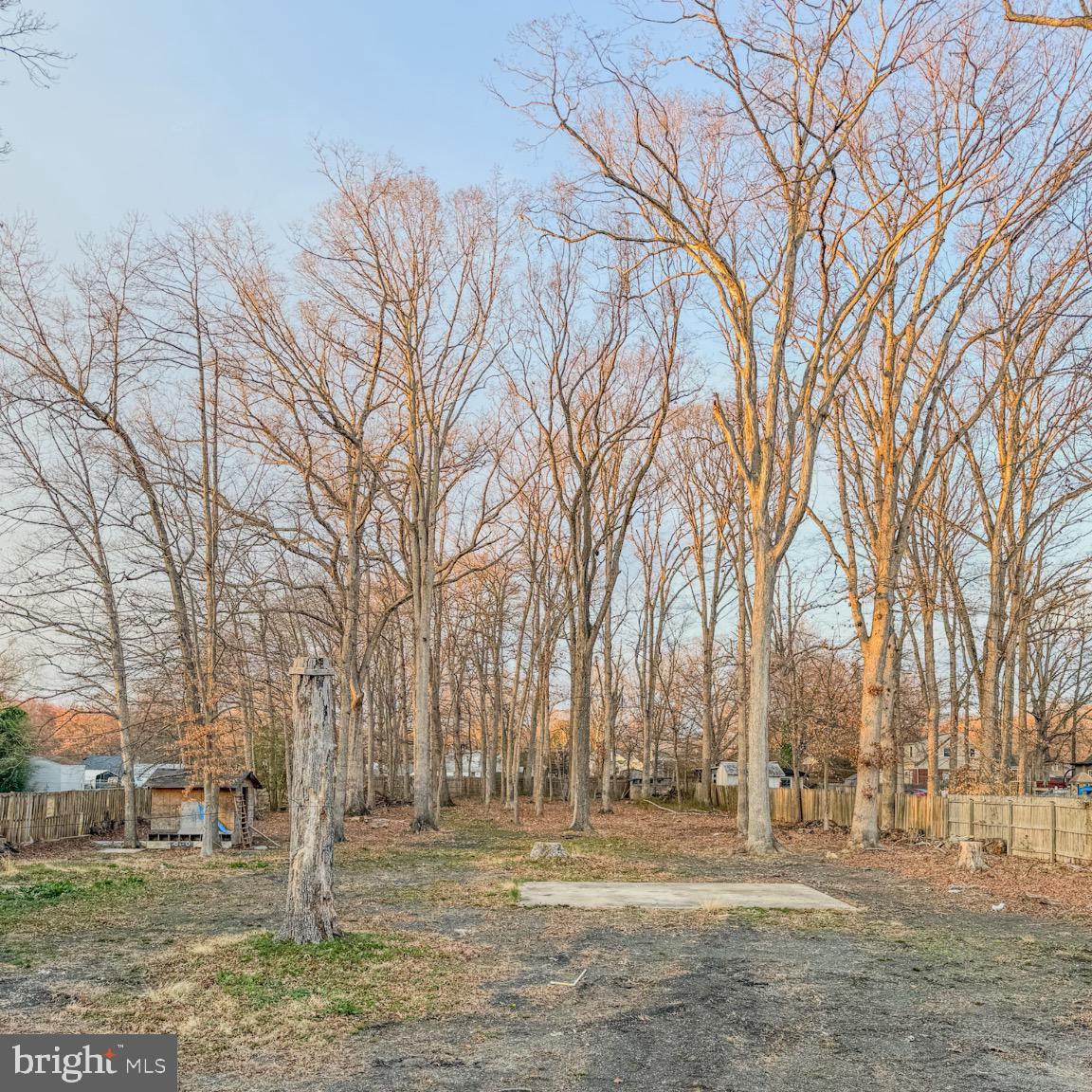 205 Biddle Road Accokeek, MD 20607 - Photo 9 of 31 a backyard of a house with lots of green space