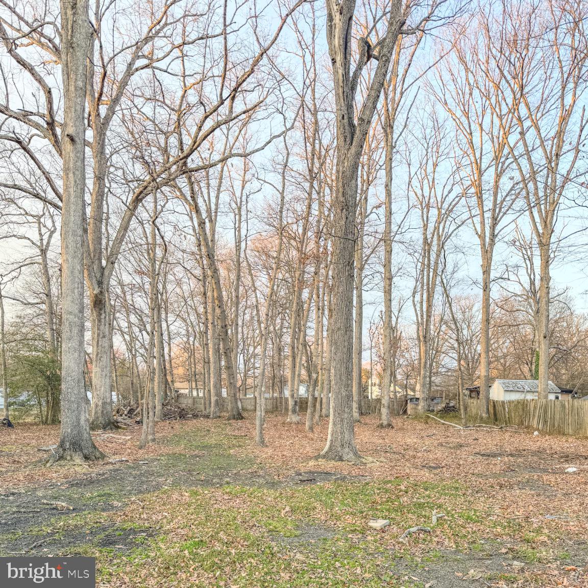 205 Biddle Road Accokeek, MD 20607 - Photo 10 of 31 a view of yard with trees