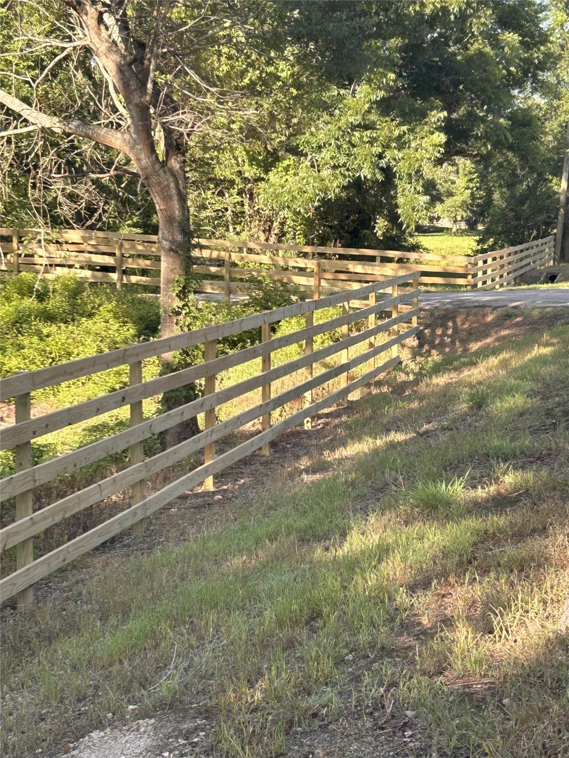 923 Y U Jones Road Richmond, TX 77469 - Photo 5 of 50 Front Fence installed Summer 2025