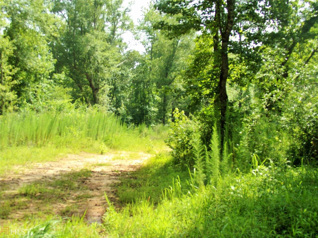 0 Blankenship Road Jackson, GA 30233 - Photo 1 of 1