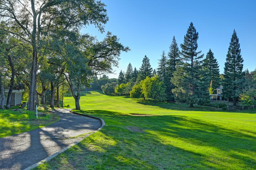 14965 Anillo Way Rancho Murieta, CA 95683 - Photo 55 of 59 a view of a park with large trees
