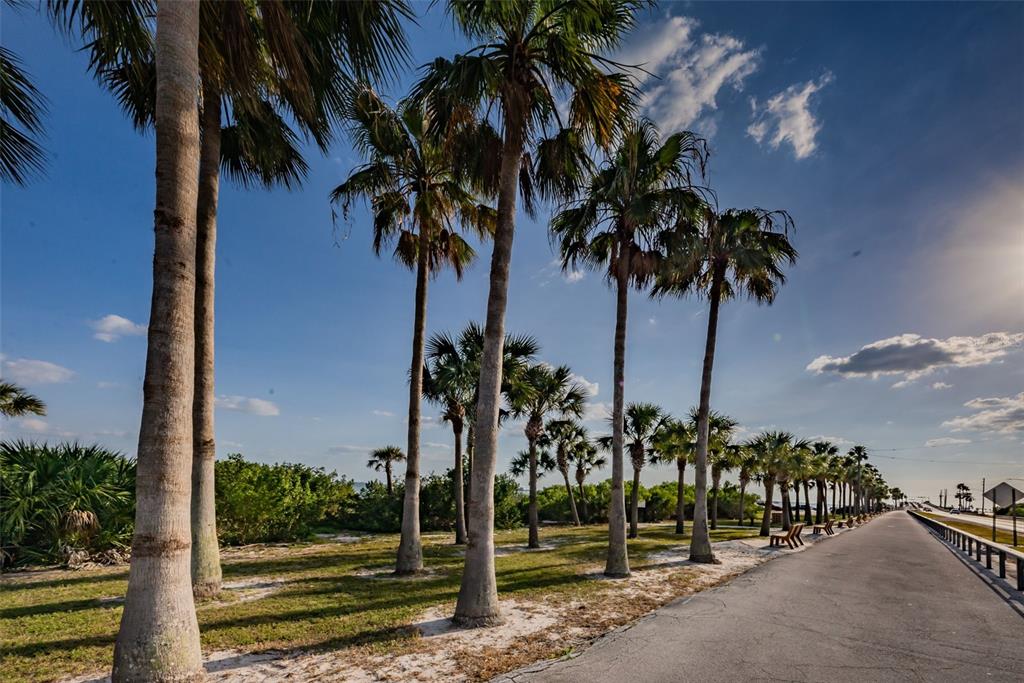 2476 Coronado Way Dunedin, FL 34698 - Photo 36 of 81