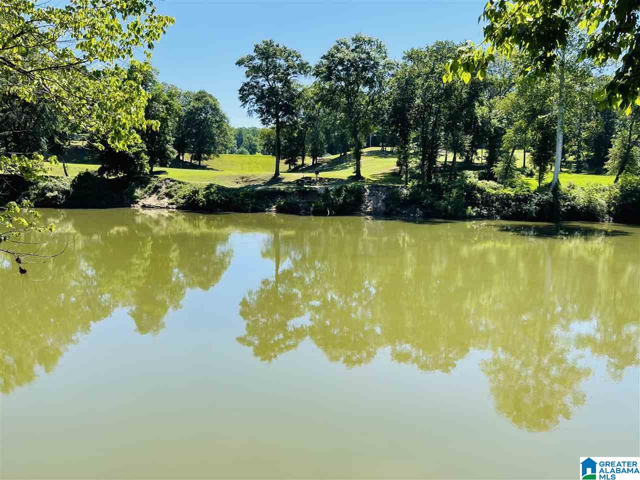 2070 Birmingham Road Centreville, AL 35042 - Photo 8 of 10