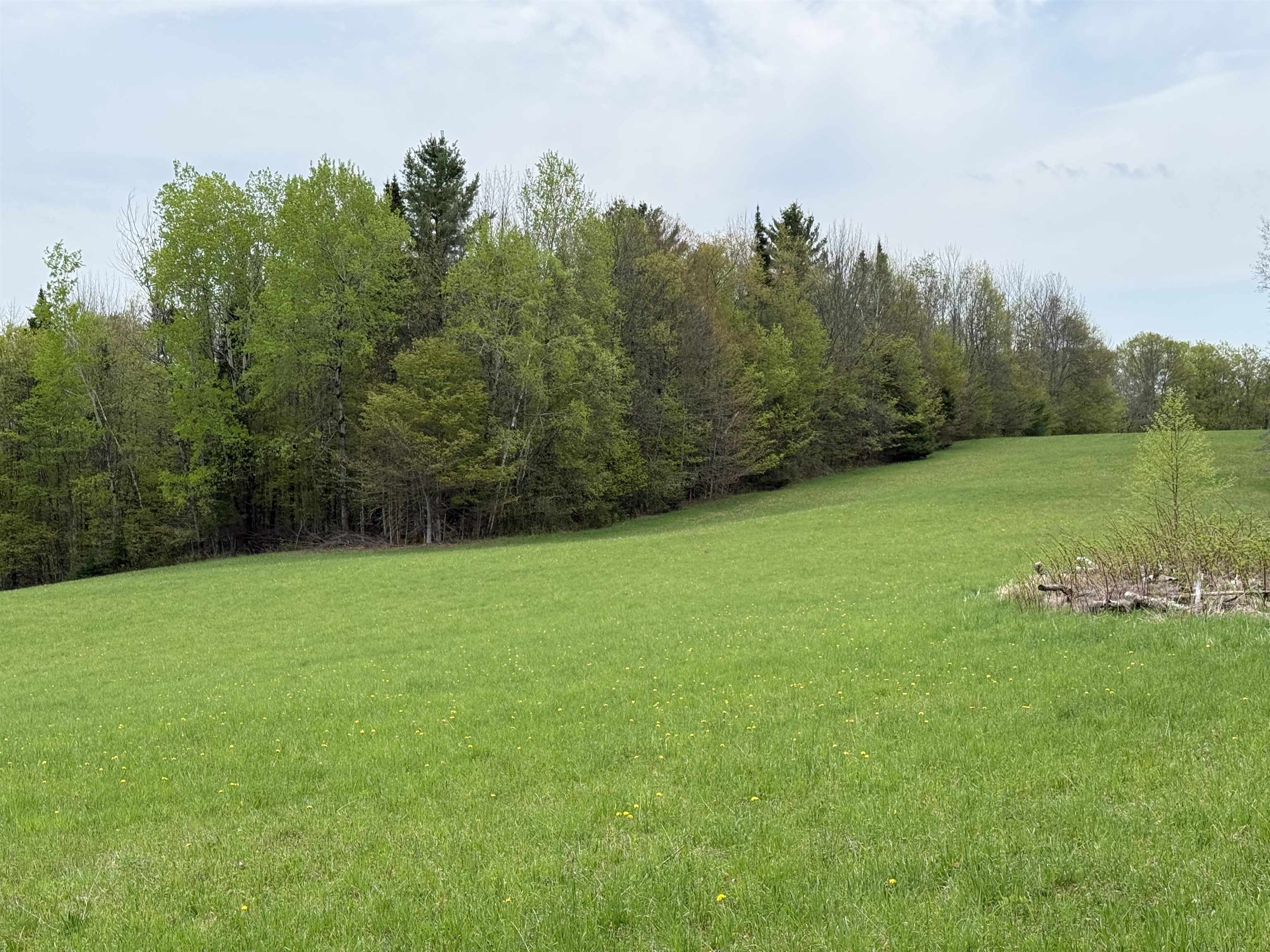 770 Pope Brook Road Danville, VT 05828 - Photo 12 of 14