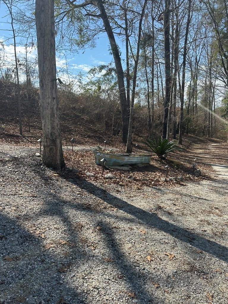 2422 County Road 97 Abbeville, AL 36310 - Photo 46 of 50