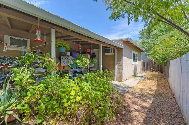 a view of a house with potted plants and a large tree