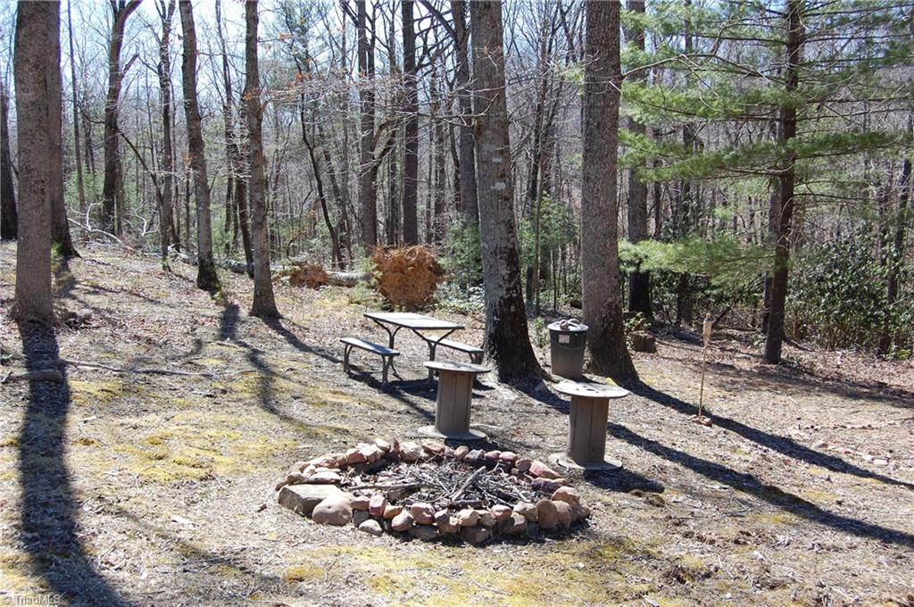 181 Martha Lowe Road Lowgap, NC 27024 - Photo 1 of 10 Gallery Image 1