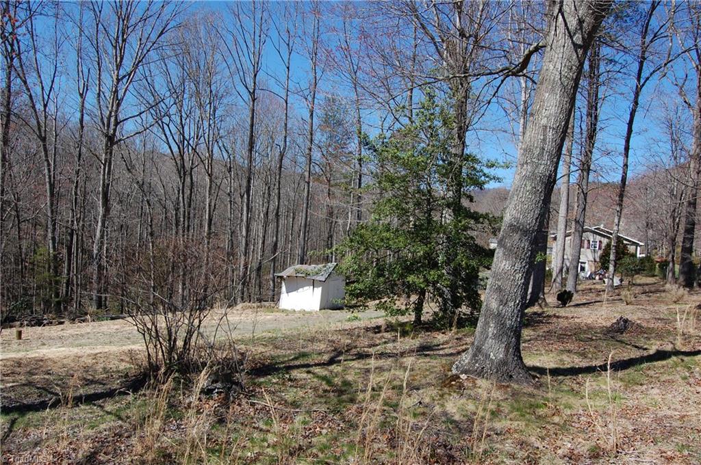 181 Martha Lowe Road Lowgap, NC 27024 - Photo 2 of 10 Gallery Image 2