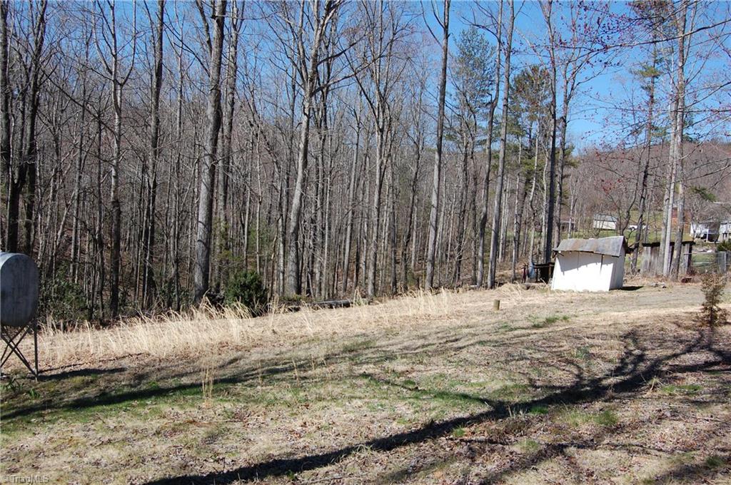 181 Martha Lowe Road Lowgap, NC 27024 - Photo 3 of 10 Gallery Image 3