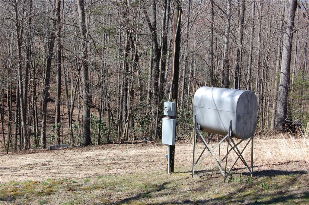 181 Martha Lowe Road Lowgap, NC 27024 - Photo 4 of 10 Gallery Image 4